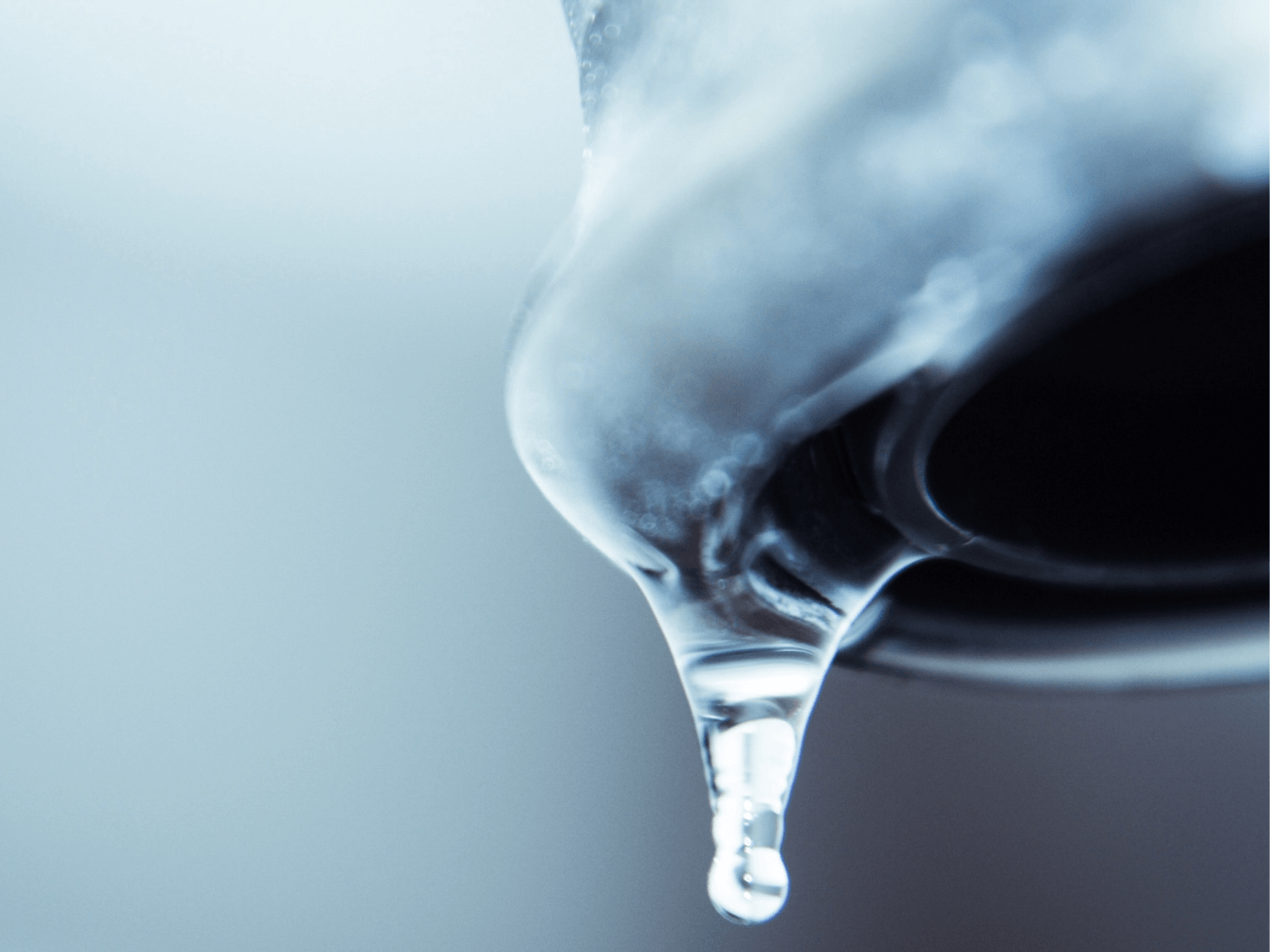 polyquaternium-7 Eigenschaften Pferde